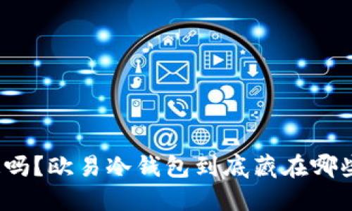 你知道吗？欧易冷钱包到底藏在哪些秘密？