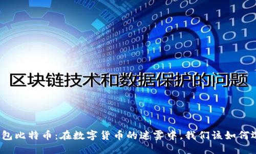 冷钱包比特币：在数字货币的迷雾中，我们该如何选择？