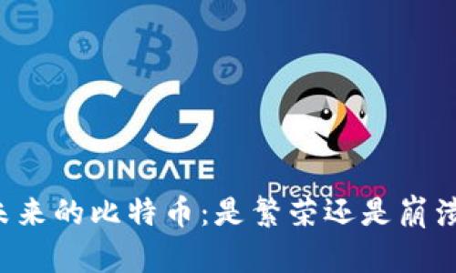 未来的比特币：是繁荣还是崩溃？