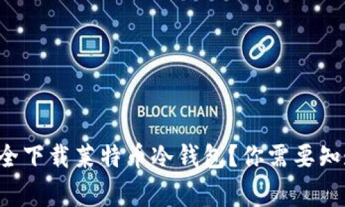 如何安全下载莱特币冷钱包？你需要知道的事！