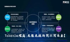 Tokenim崛起：无缘无故的钱从何而来？