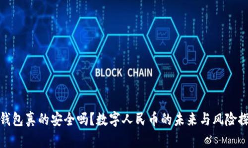 冷钱包真的安全吗？数字人民币的未来与风险探秘