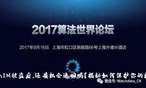 当TokenIM被盗后，还有机会追回吗？揭秘如何保护你的数字资产