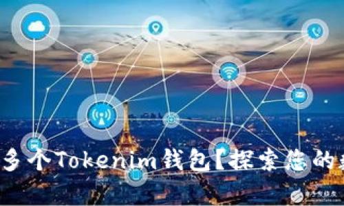 如何一步步创建多个Tokenim钱包？探索您的数字财富新天地！