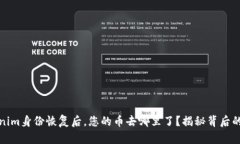 Tokenim身份恢复后，您的币去哪里了？揭秘背后的