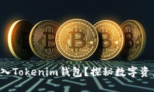 如何轻松导入Tokenim钱包？探秘数字资产保护之道！