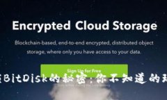 ### 解锁BitDisk的秘密：你不知道的玩法与技巧！