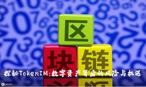 探秘TokenIM：数字资产背后的风险与机遇