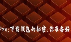 波宝Pro：下载钱包的秘密，你准备好了吗？