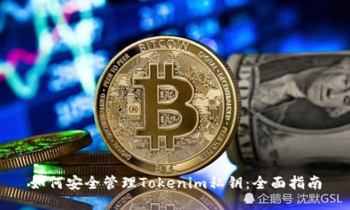 如何安全管理Tokenim私钥：全面指南