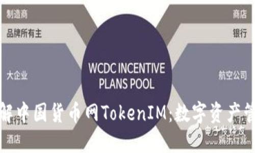 : 深入了解中国货币网TokenIM：数字资产管理的未来