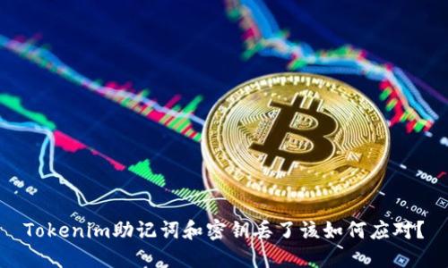 Tokenim助记词和密钥丢了该如何应对？
