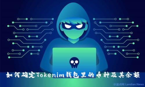 如何确定Tokenim钱包里的币种及其余额