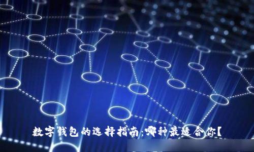 数字钱包的选择指南:哪种最适合你?