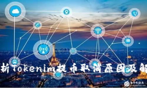 深入解析Tokenim提币取消原因及解决方案
