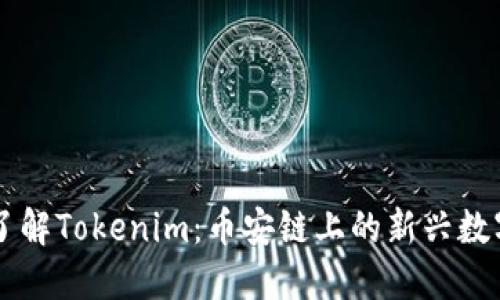 深入了解Tokenim：币安链上的新兴数字货币