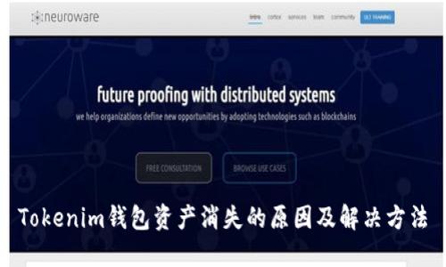 Tokenim钱包资产消失的原因及解决方法